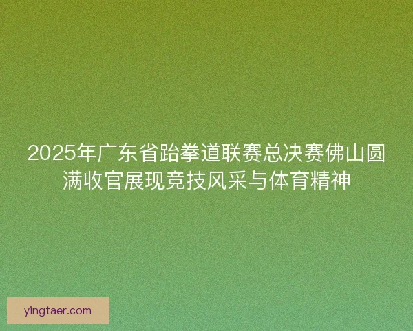 2025年广东省跆拳道联赛总决赛佛山圆满收官展现竞技风采与体育精神